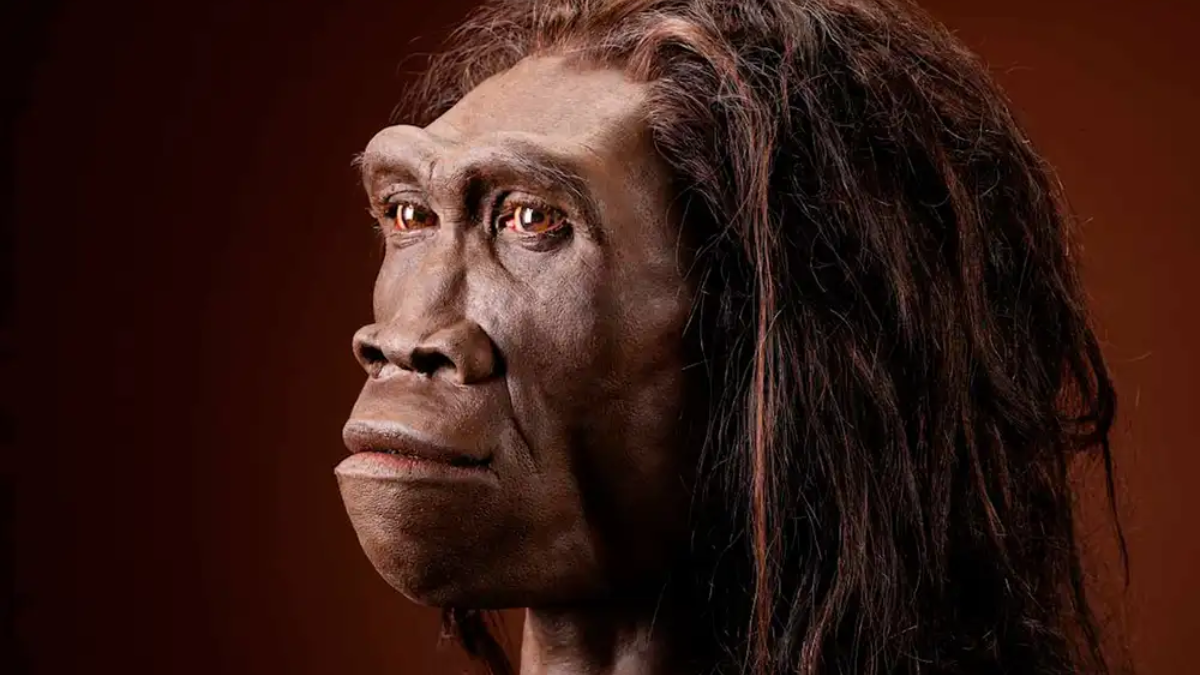 Els neandertals no només caçaven les seves preses, també les reciclaven de manera brillant.