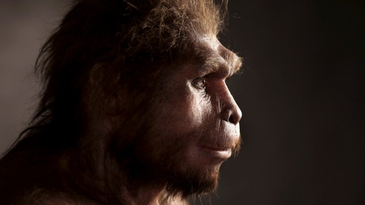 La fuerza ancestral que llevamos dentro