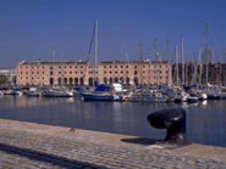 imatge el mon migracio