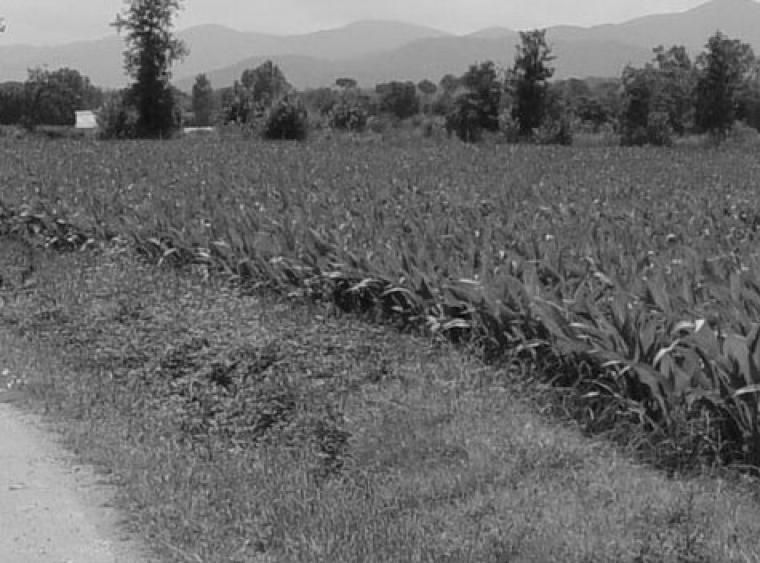 imatge el mon migracio