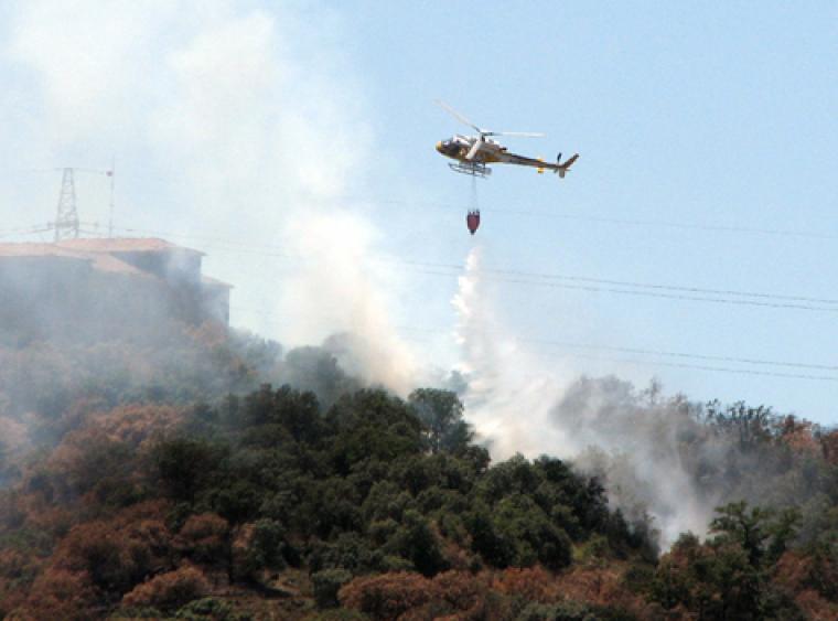 imatge el mon migracio