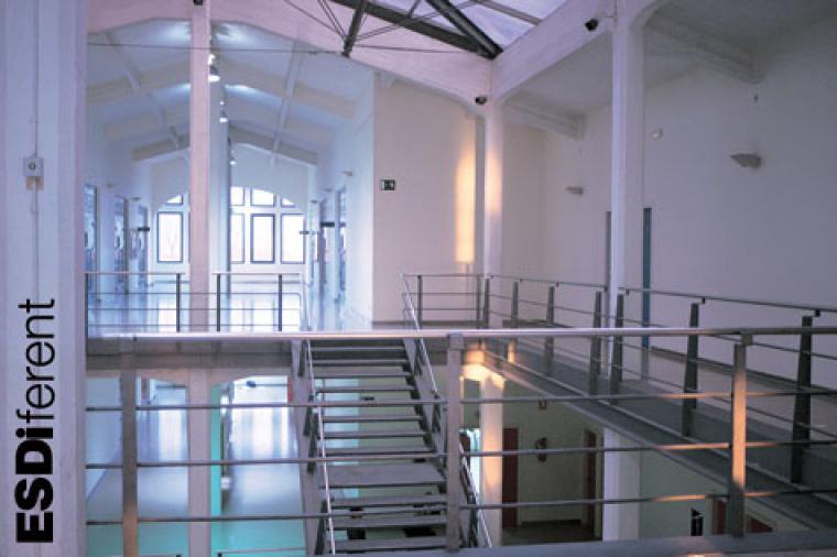 imatge el mon migracio