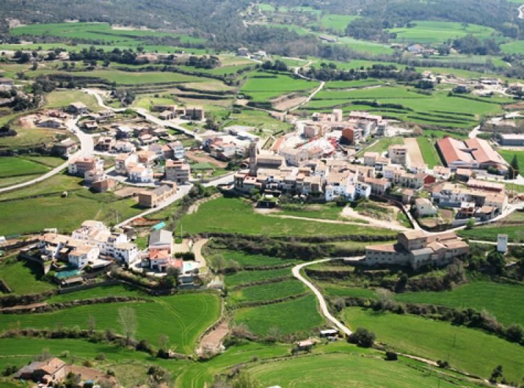 imatge el mon migracio