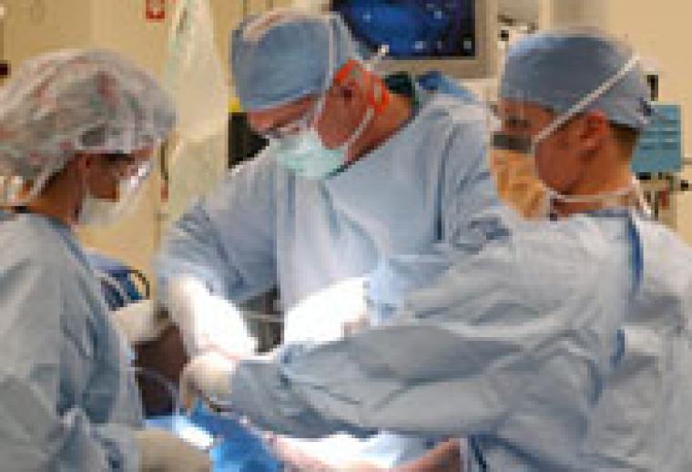 imatge el mon migracio