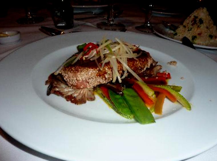 imatge el mon migracio