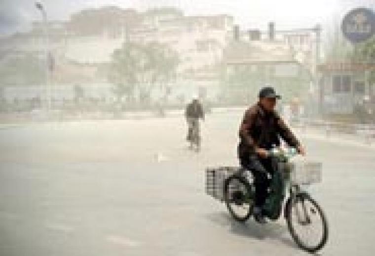 imatge el mon migracio