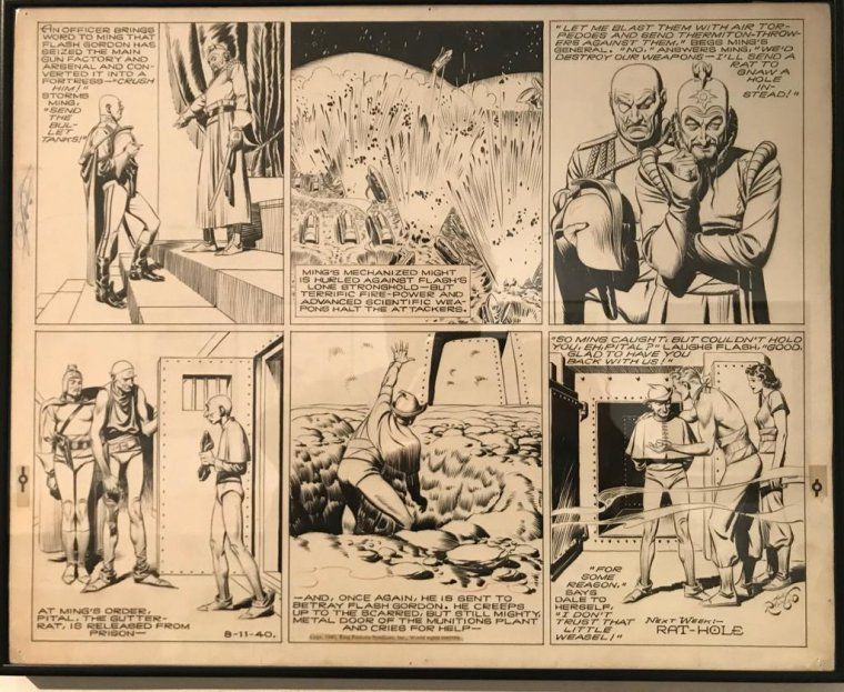 Flash Gordon acull un infiltrat de Mongo. Seqüència memorable d'Alex Raymond.