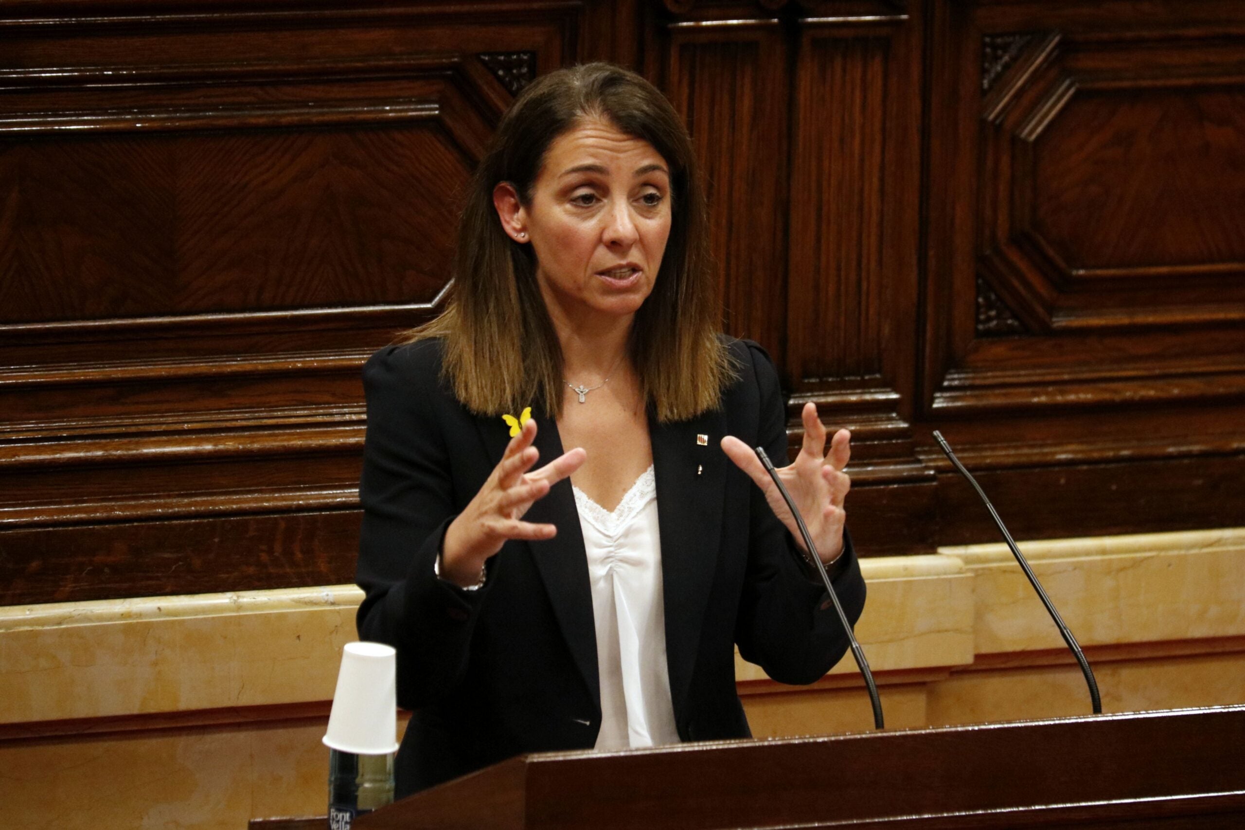 La portaveu del Govern, Meritxell Budó, durant el ple del...