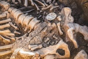 Alguns cossos han aparegut amb cintur&oacute;