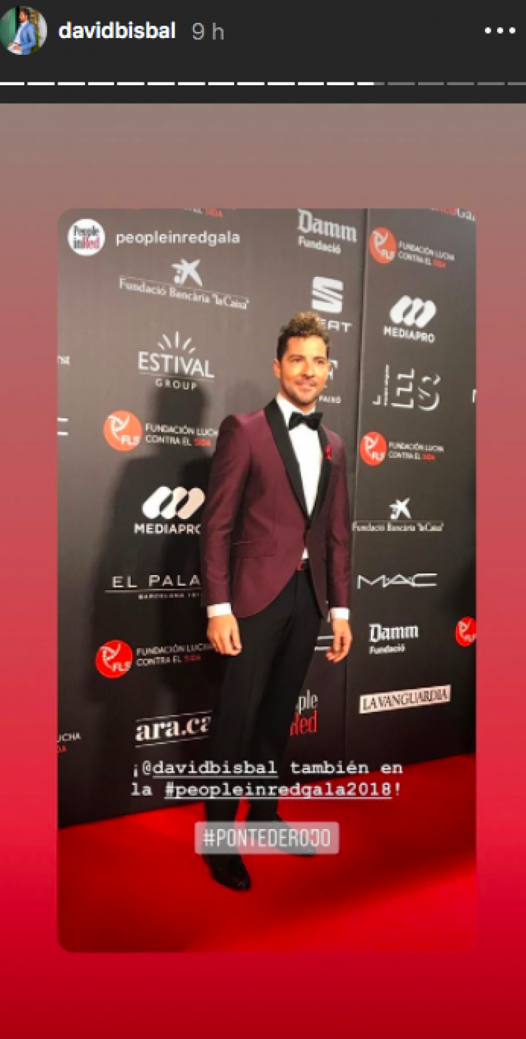 David Bisbal a la catifa vermella de 'People in red'