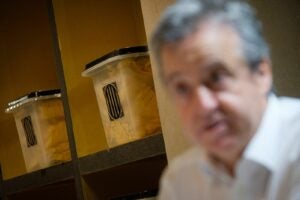 Toni Morral (JORDI BORRÀS)