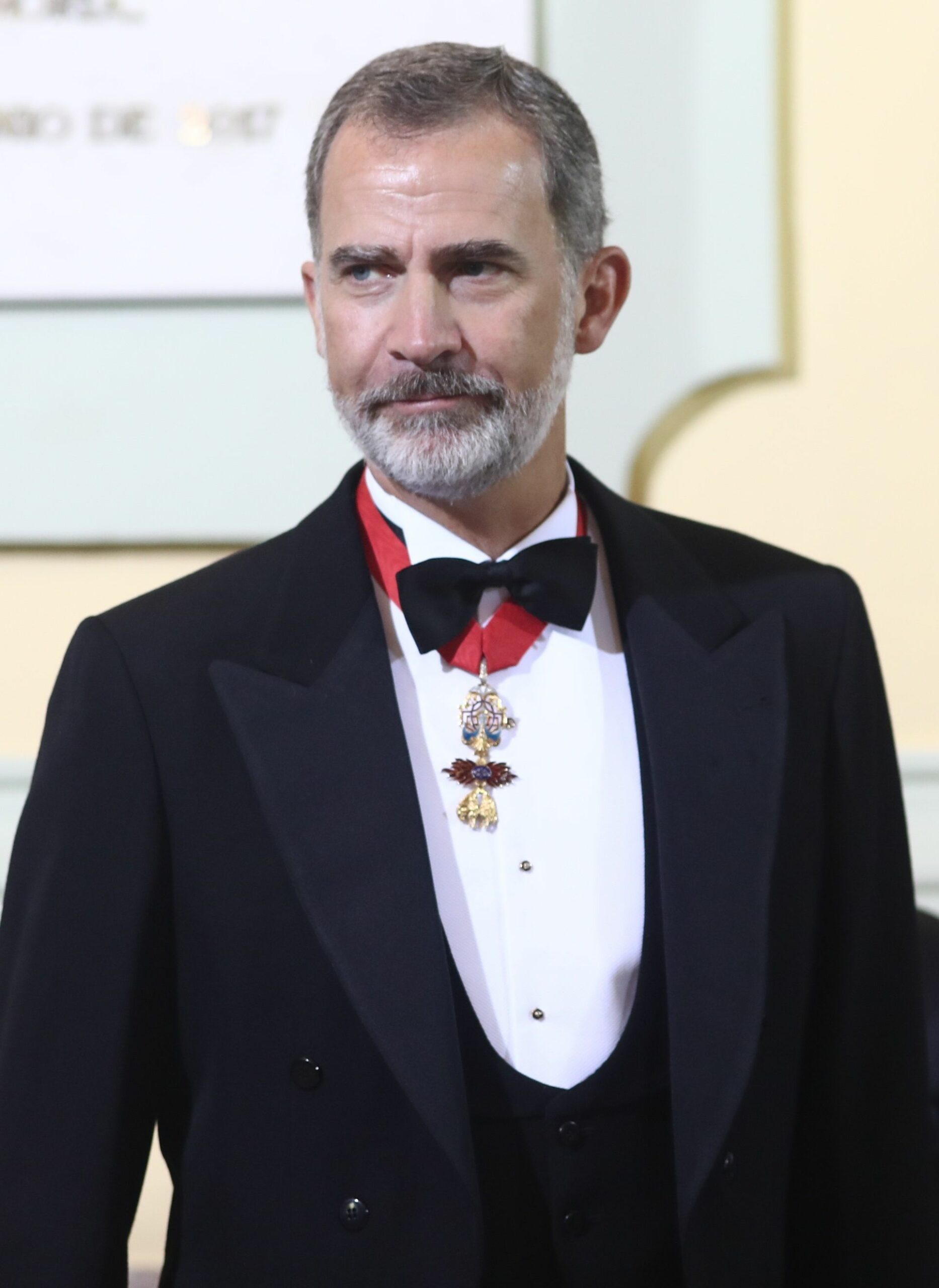 El rei Felip durant l'obertura de l'any judicial en el palau de la just&iacute;cia  Europa Press