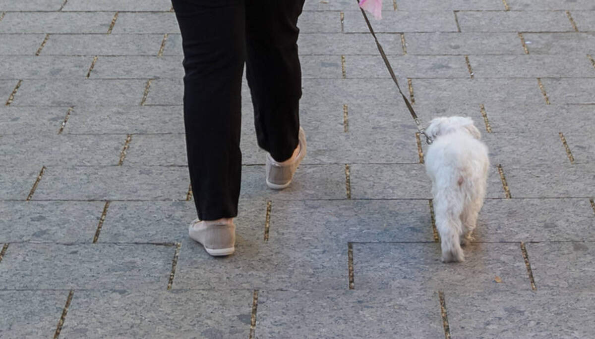 Una veïna passejant la seva mascota. Imatge d'arxiu. | OLIVIA MOLET