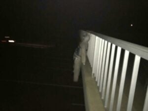 Acció de L'Estaca, amb ninots dels partits independentistes penjats en ponts. Llinars del Vallès