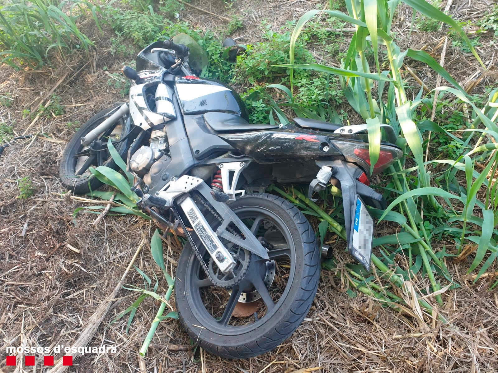 La moto abandonada per l'home detingut pels Mossos a Reus després d'una persecució policial | ACN