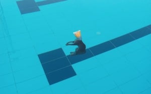 El gat mort flotant a la piscina