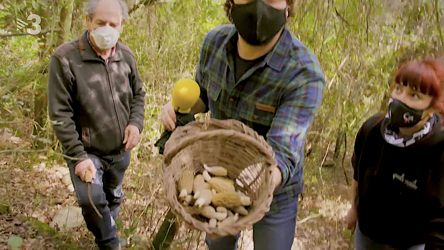La cistella de bolets 'd'orgasme' que Quim Masferrer va collir amb en Joan i la Sílvia a 'El foraster' a Sant Martí Vell