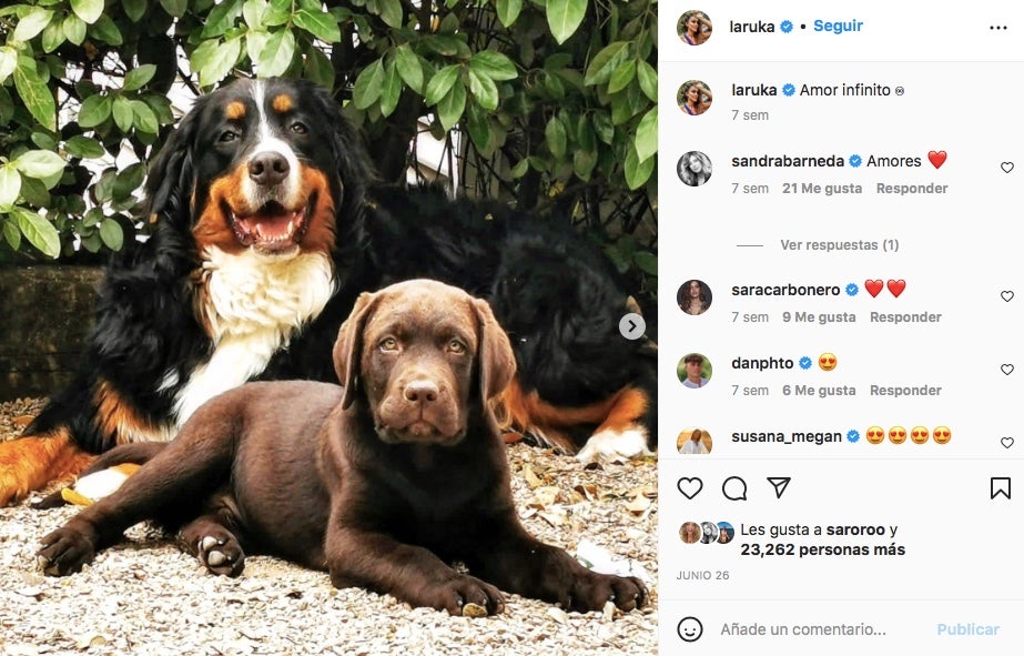 Lara Álvarez, enamorada dels seus dos gossos - Instagram
