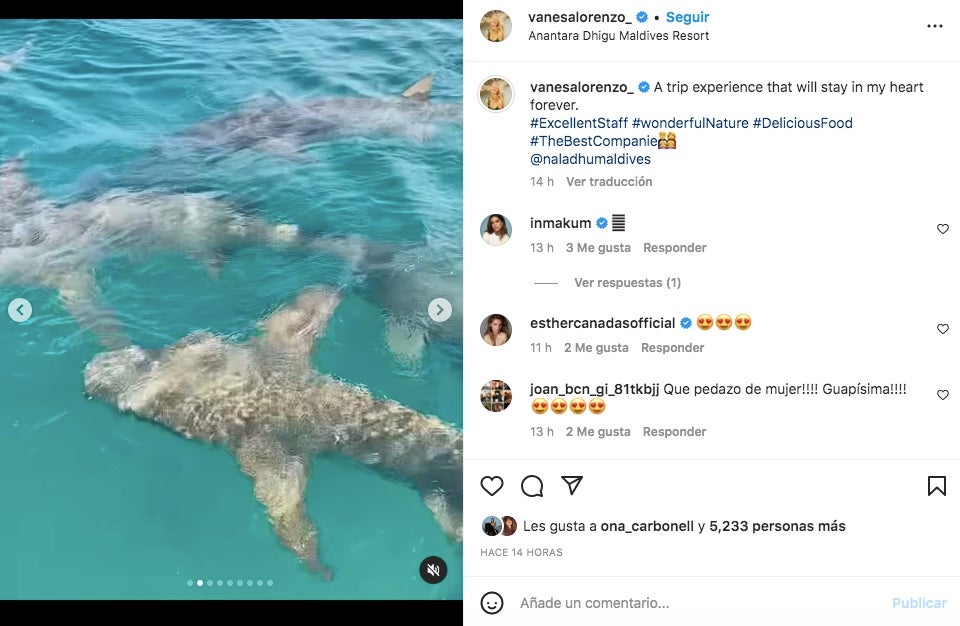 Vanesa Lorenzo i Carles Puyol veuen taurons a les Maldives - Instagram