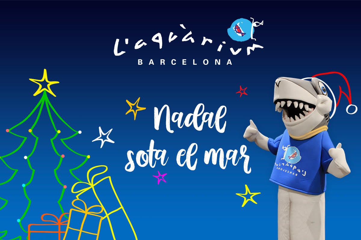 L'Aquàrium de Barcelona, on es poden fer moltes activitats nadalenques en família / Cedida