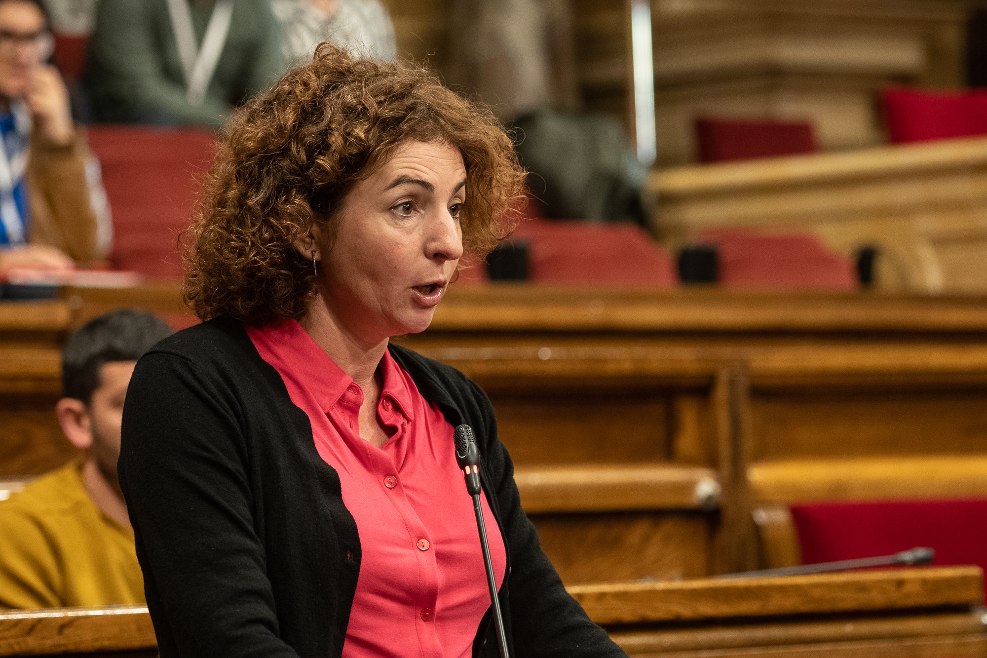 La diputada de la CUP Montserrat Vinyets a la sessió de control al Govern al Parlament 14/12/22 / Mireia Comas
