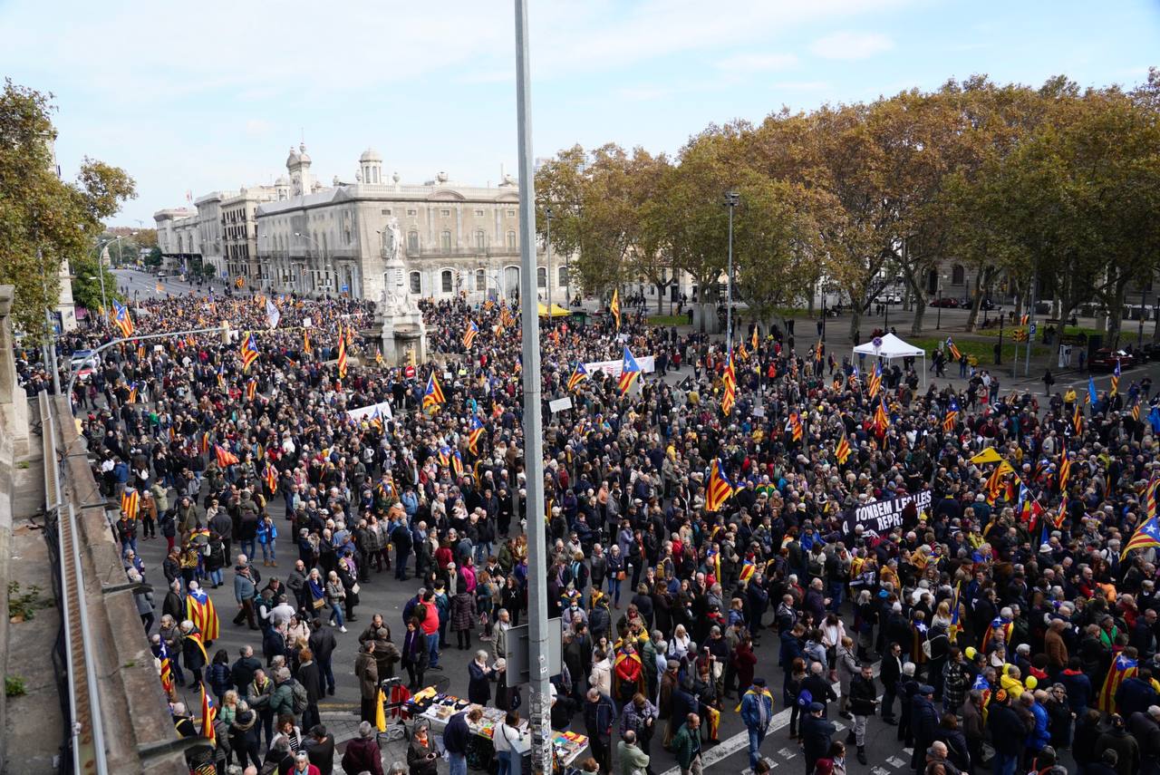 Participants en la manifestació de l'ANC contra el delicte de desordres públics agreujats que es vol introduir al Codi Penal espanyol com a contrapartida per derogar el de sedició / Mireia Comas