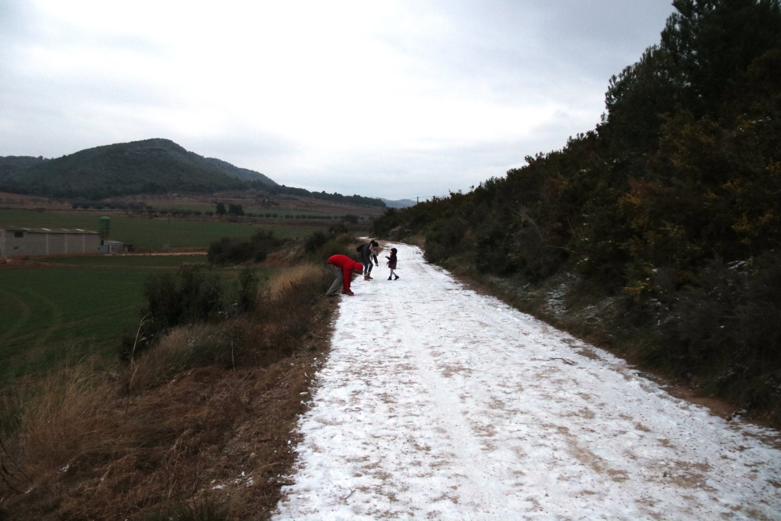 Una família jugant a tirar-se boles de neu en un camí proper al municipi de Sarral, a la Conca de Barberà, durant la nevada del 24 de gener de 2023 a Catalunya | ACN