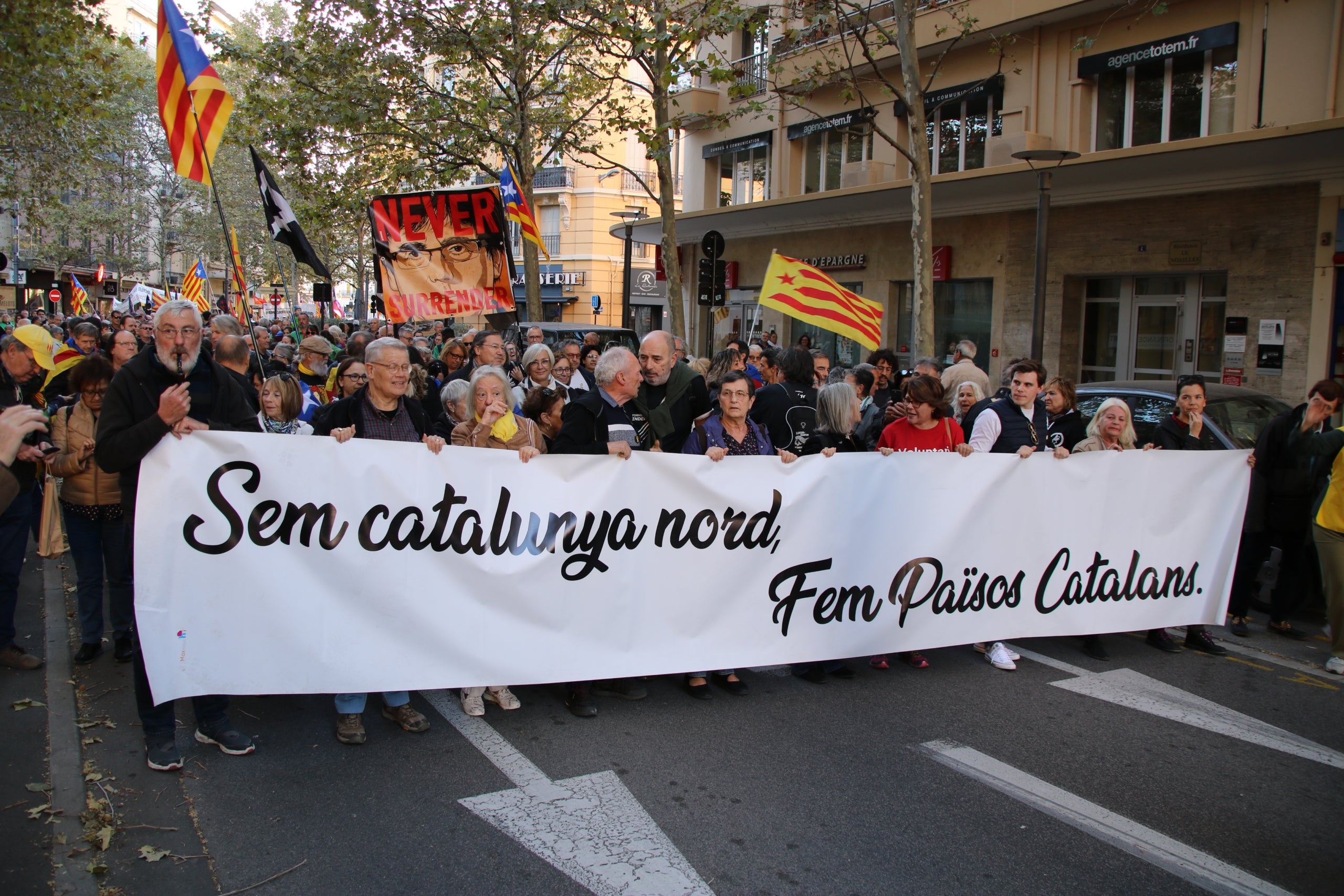 Imatge de la darrera manifestació contra el Tractat dels Pirineus a Perpinyà el passat 5 de novembre/ACN