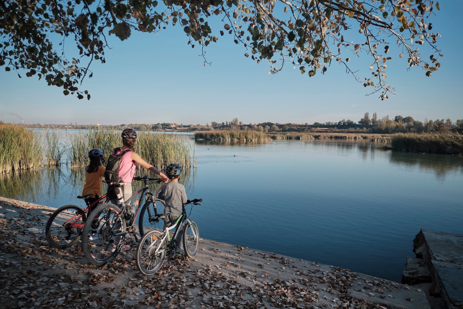 Estany d'Ivars i Vila-sana, Pla d'Urgell /  Oriol Clavera  / Patronat de Turisme de Lleida