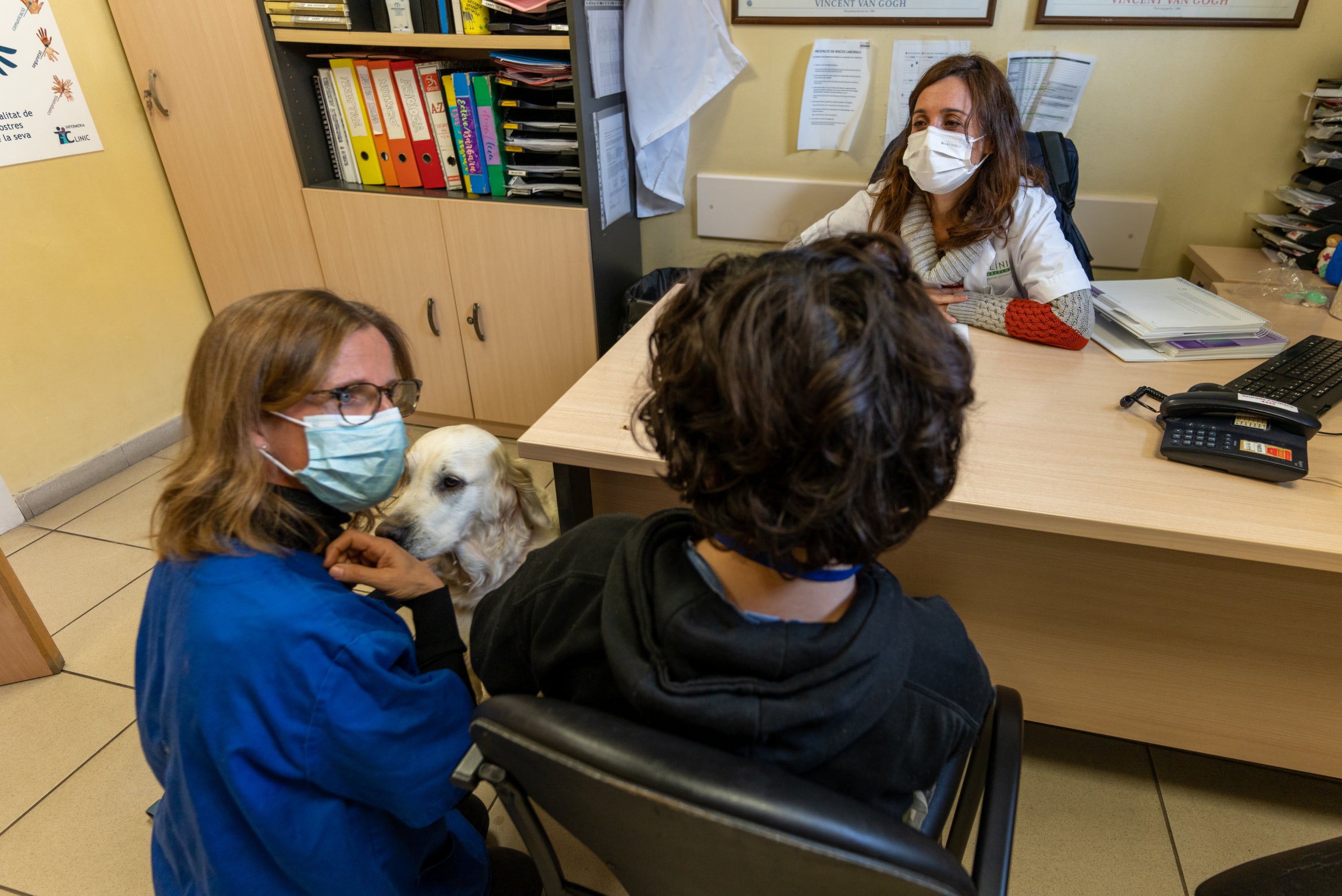 Una adolescent rep teràpia d'un gos / Clínic
