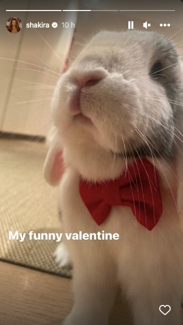 Shakira ha tingut companyia aquest Sant Valentí - Instagram