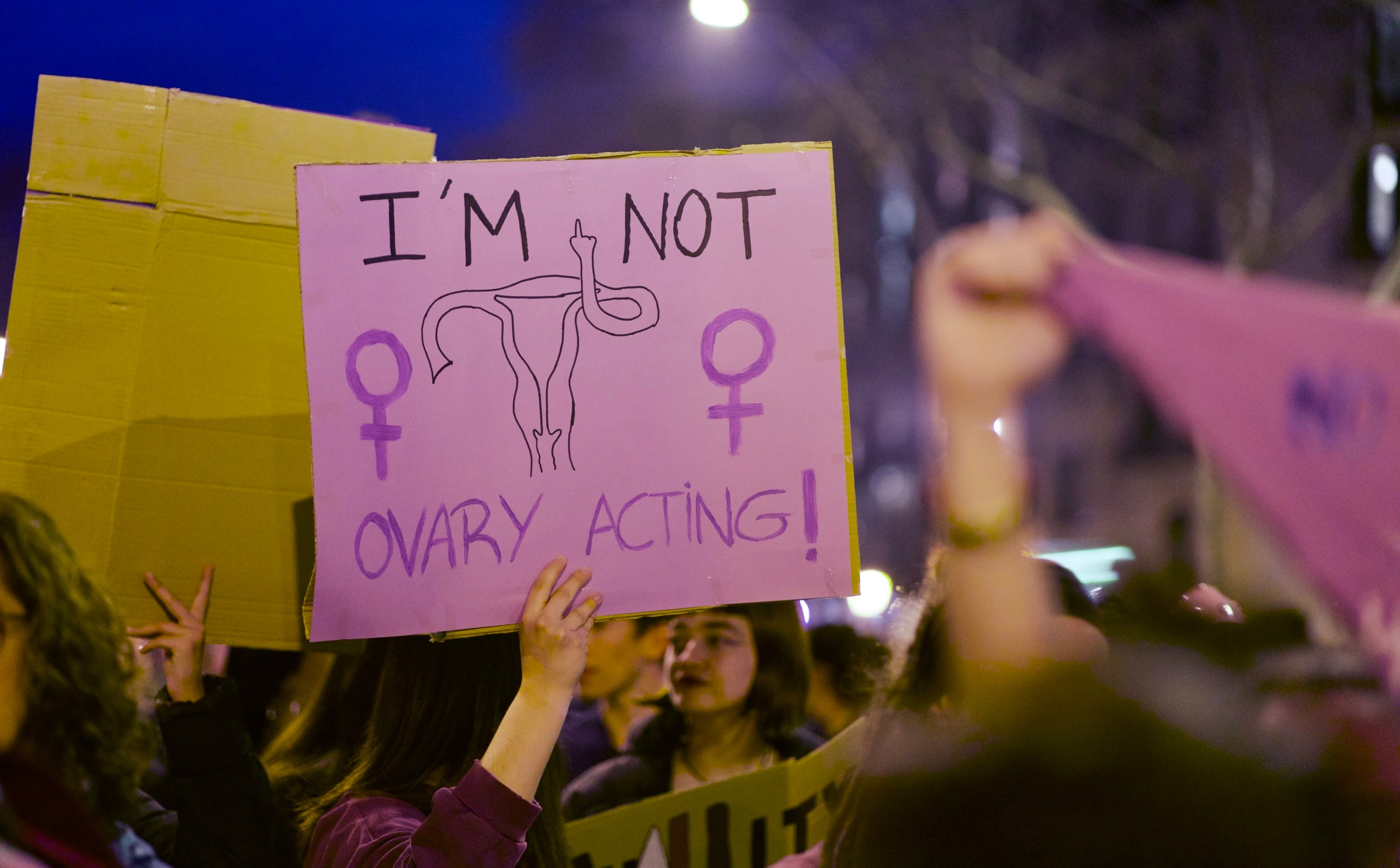 Cartell feminista en el 8-M / Mireia Comas