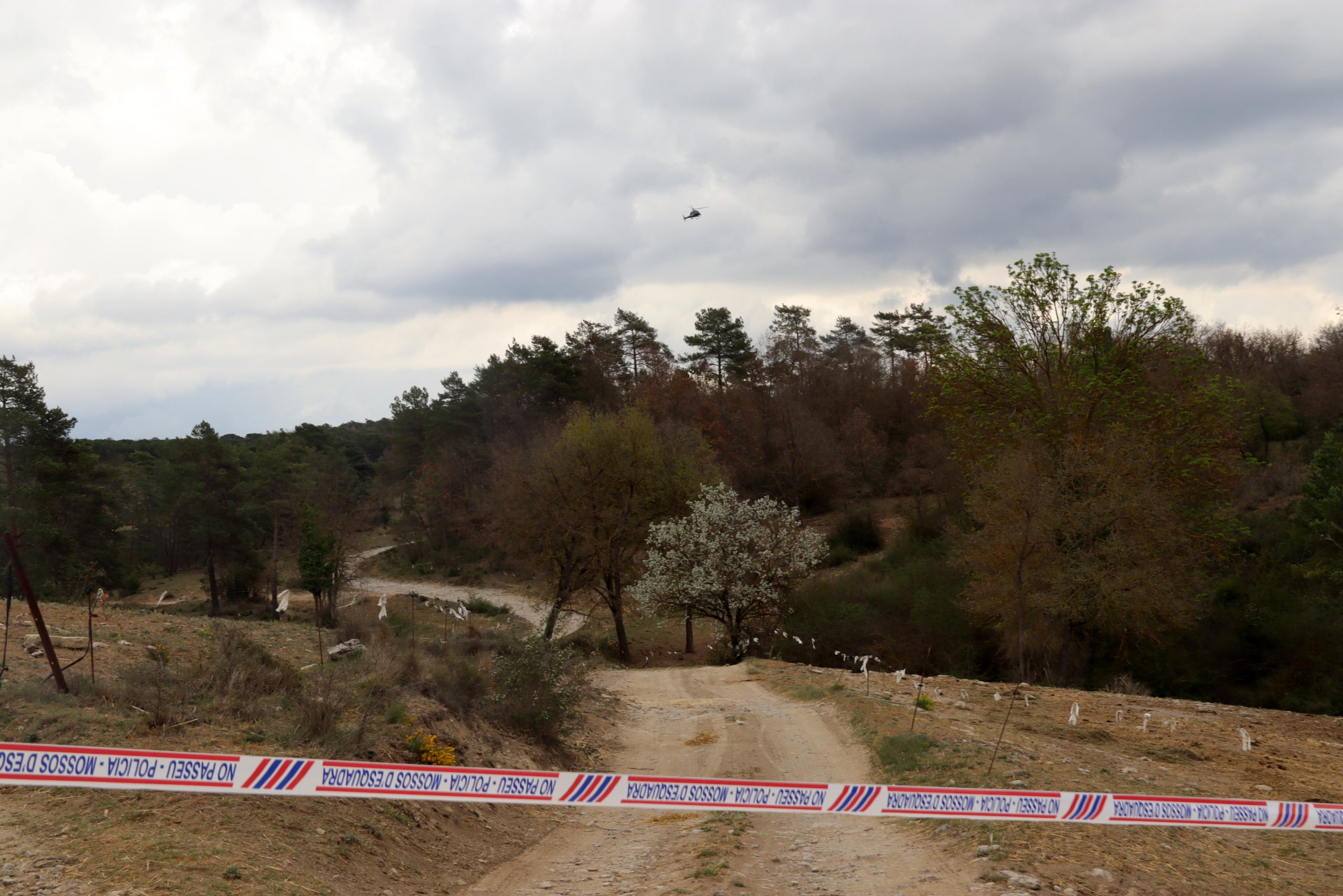 Una cinta dels Mossos i un helicòpter sobrevolant la zona

Data de publicació: diumenge 30 d’abril del 2023, 15:14

Localització: Moià

Autor: Mar Martí

Autor: Mar Martí