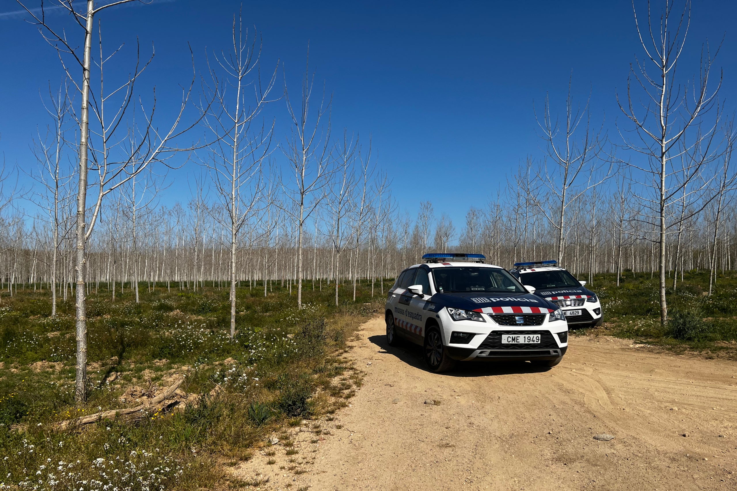 Foto de archivo de un dispositivo de los Mossos d'Esquadra / ACN