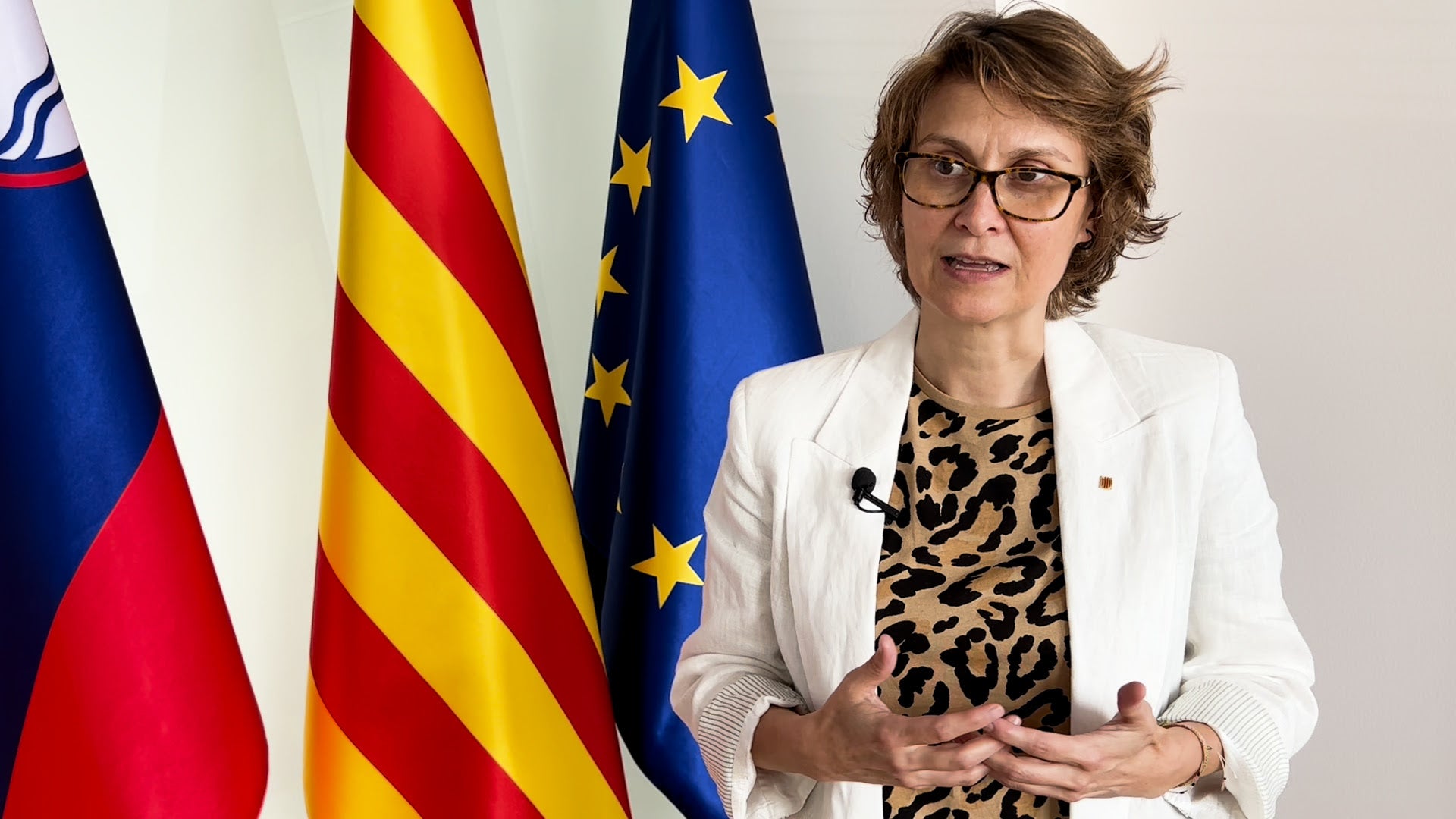 La consellera d'Acció Exterior i Unió Europea, Meritxell Serret, en una imatge d'arxiu / ACN