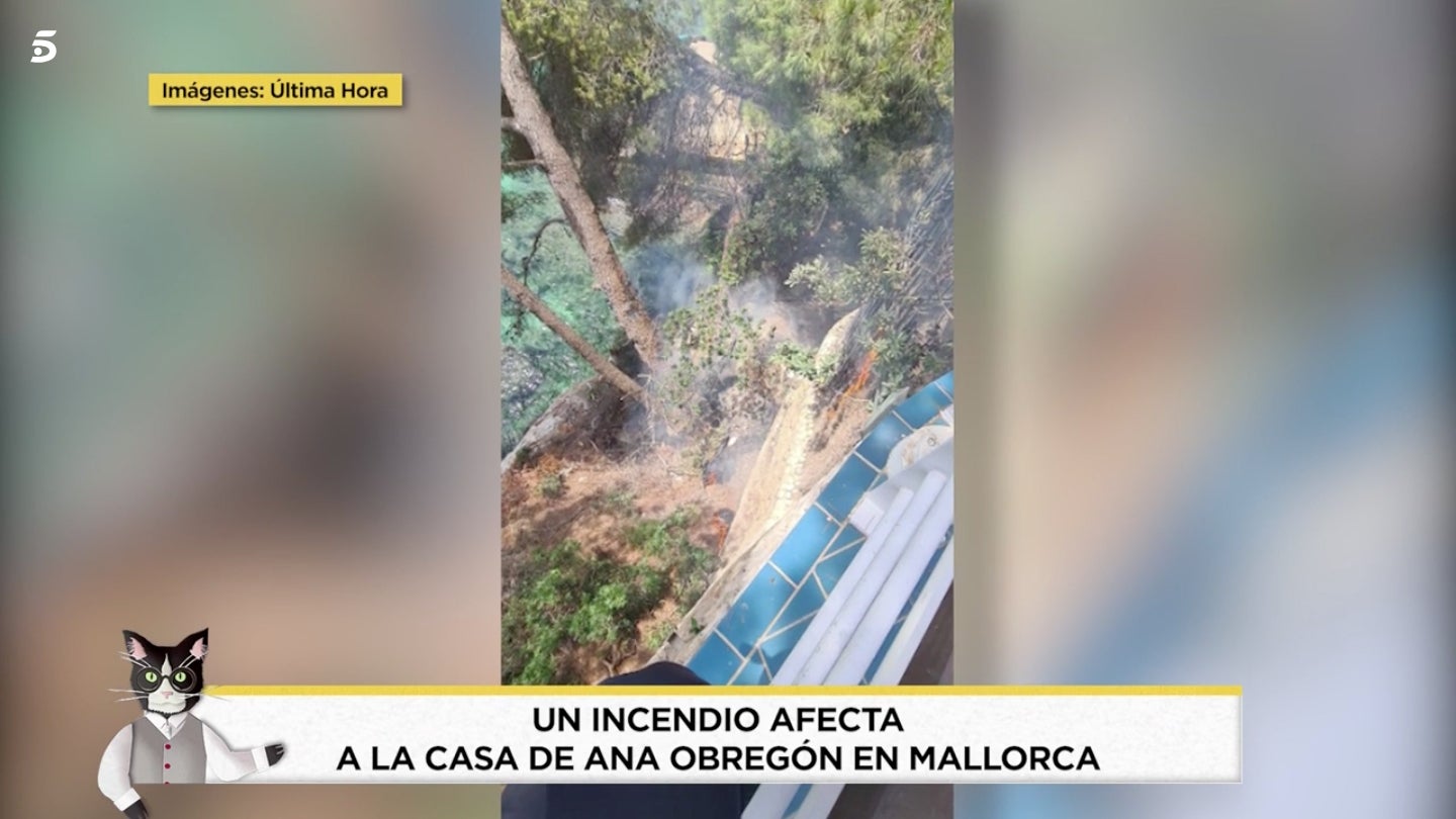 Cremen els voltants de la casa d'Ana Obregón a Mallorca - Telecinco