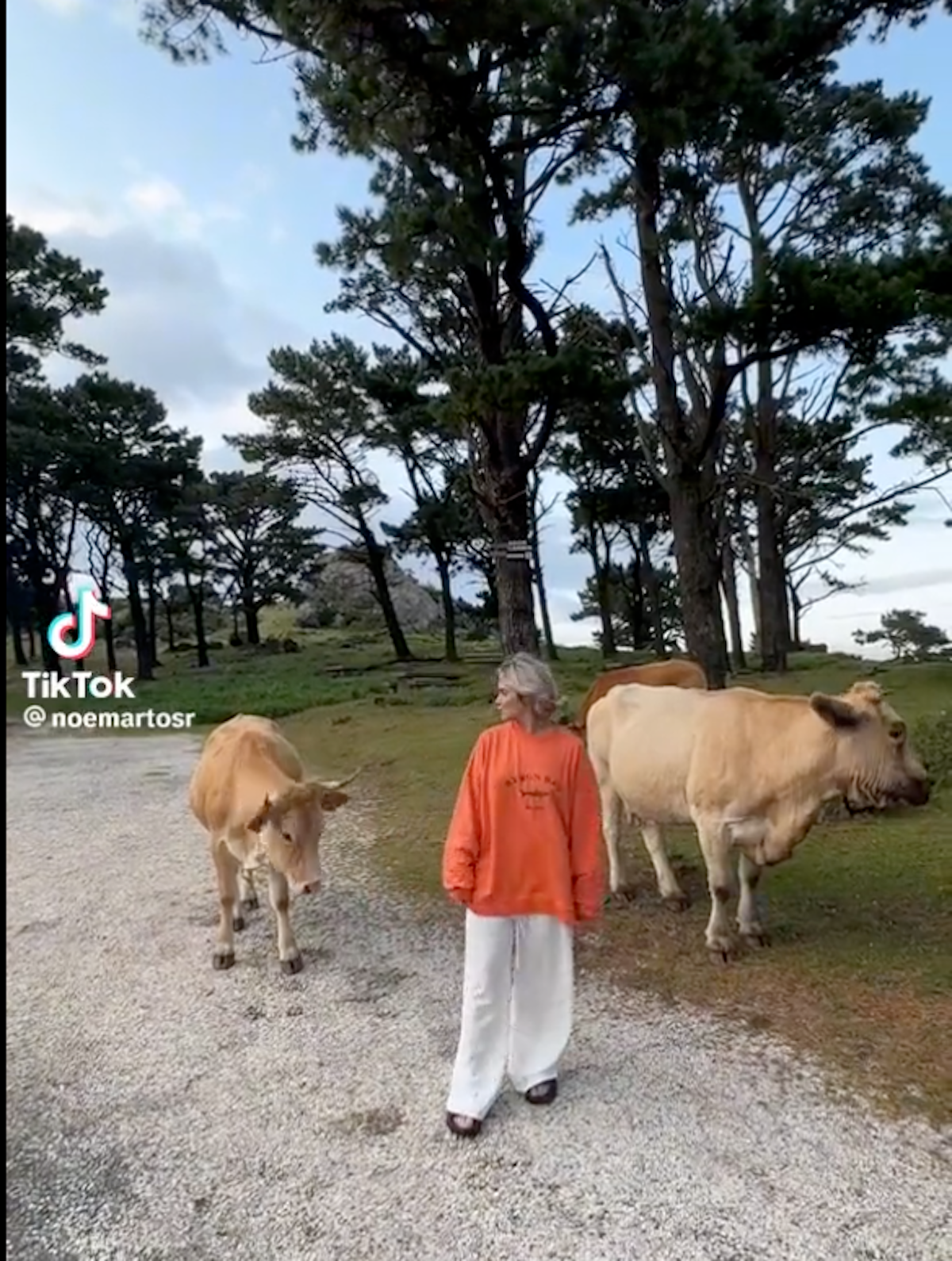 Un moment del vídeo viral en què una vaca envesteix una noia / Twitter