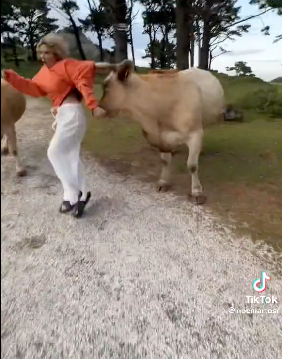 El momento exacto en el cual la vaca embiste la chica para proteger su cría / Twitter
