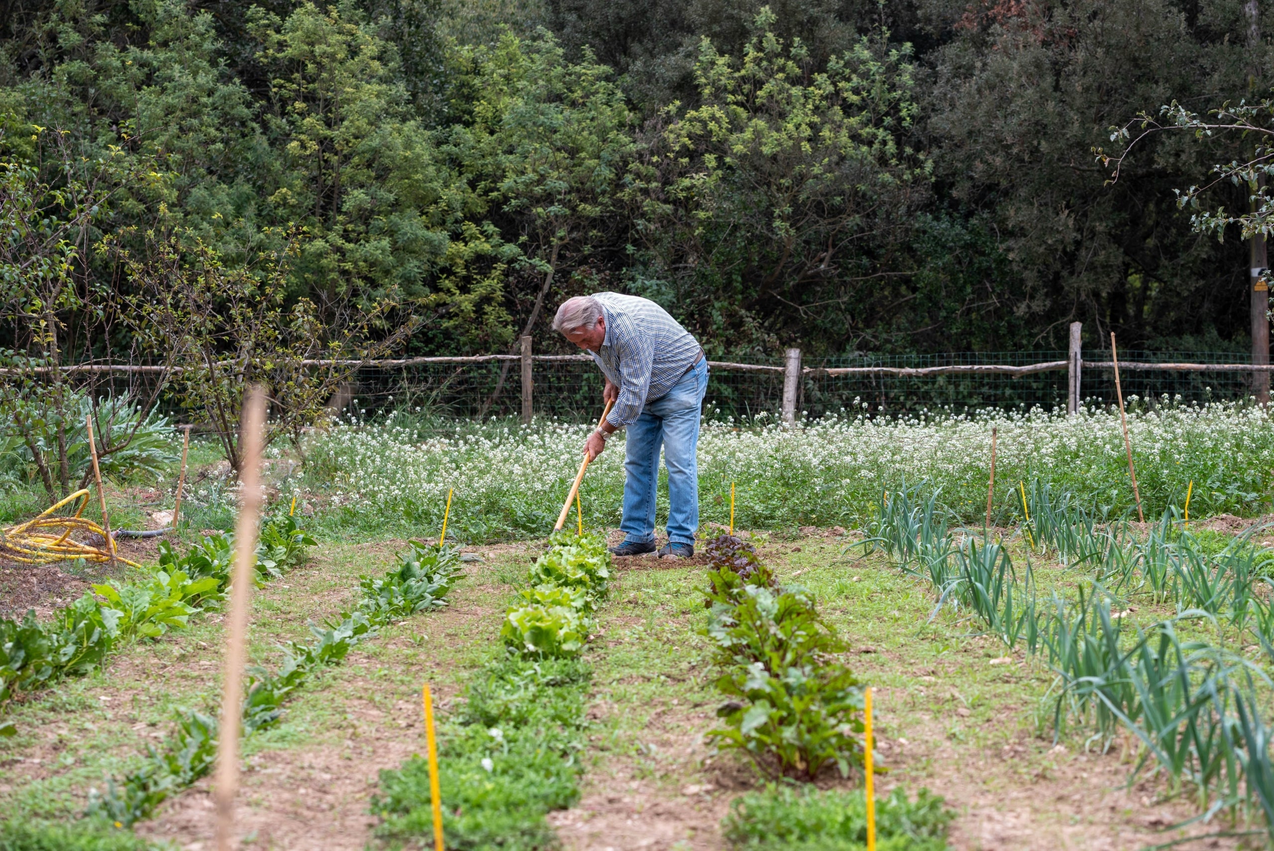 Un agricultor conreant el seu hort / EP