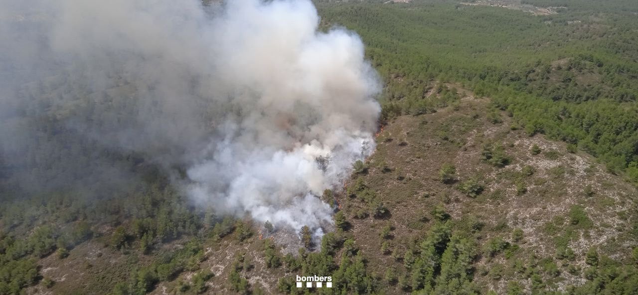 Imatge aèria de l'incendi de Tivissa (Ribera d’Ebre) / Bombers
