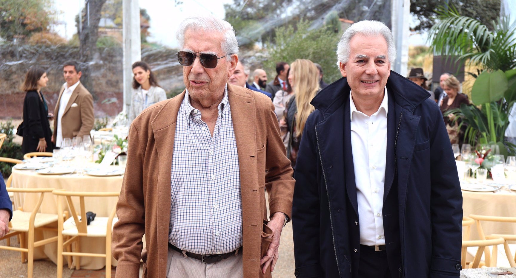 Vargas Llosa se sotmet a un tractament estètic - Europa Press