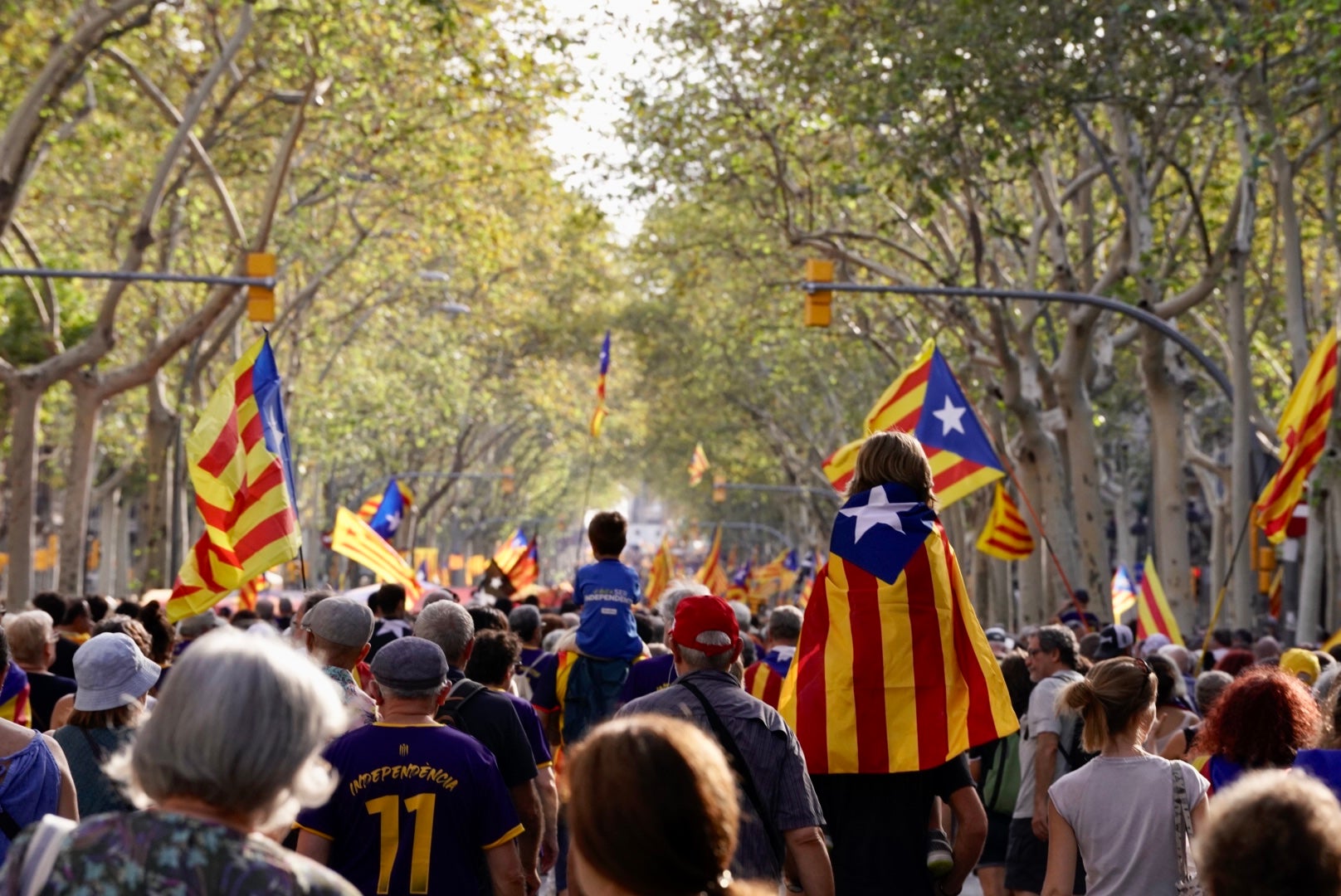 Centenars de manifestants  a la marxa de la Diada 2023 / Mireia Comas