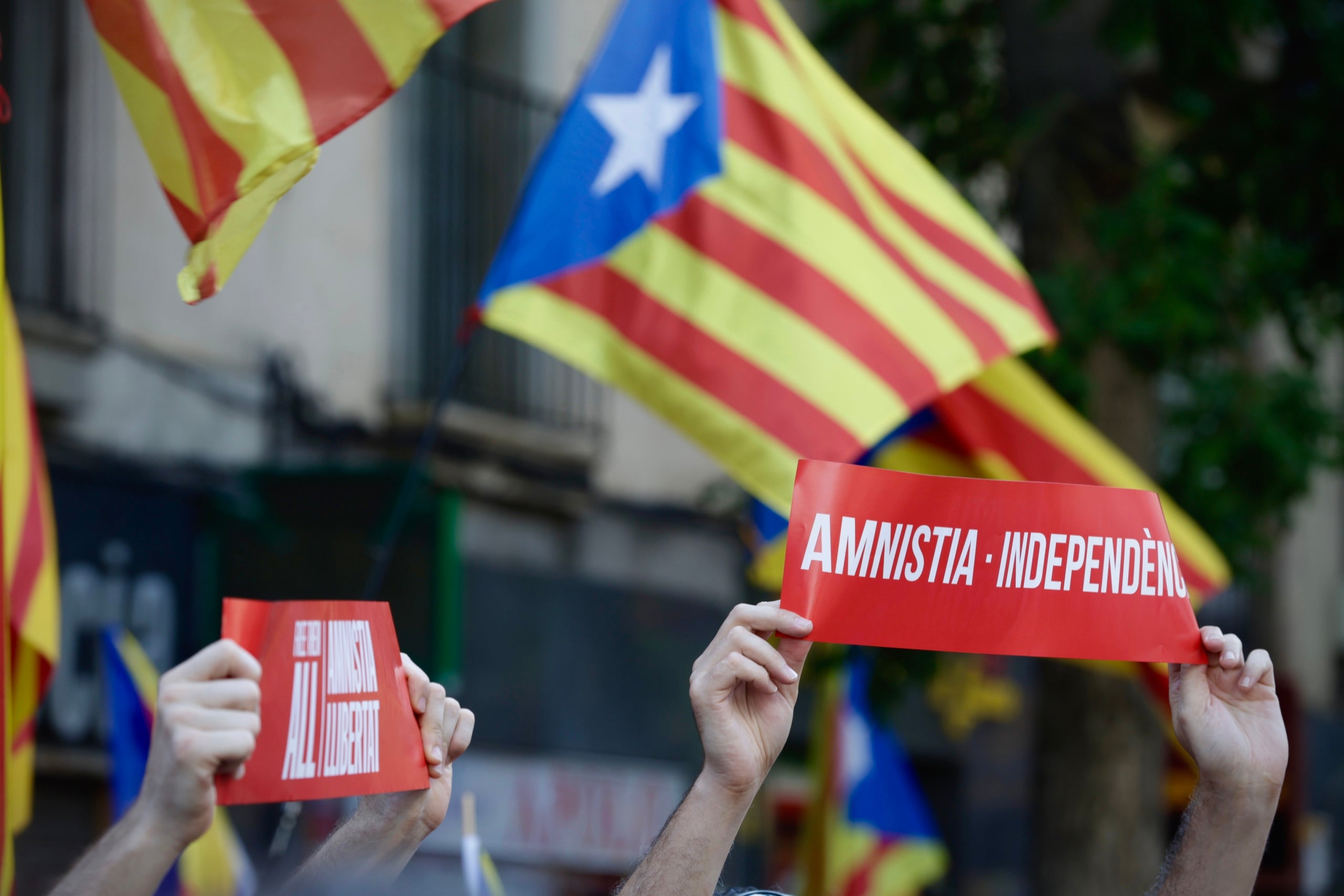 Pancartes a favor de l'amnistia i la independència a la manifestació de la Diada 2023 / Jordi Play