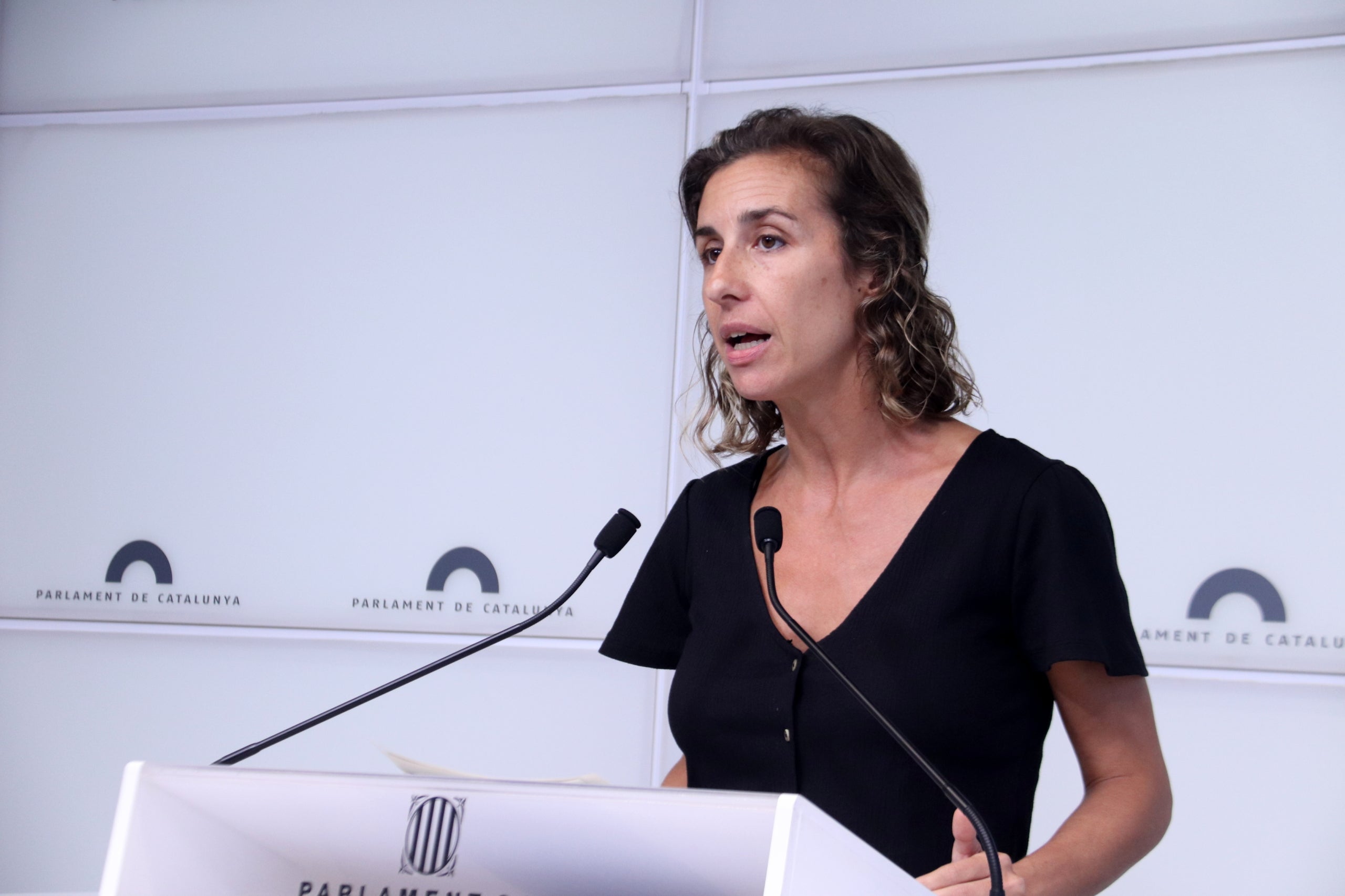 La diputada de la CUP Laia Estrada en roda de premsa des del Parlament / ACN
