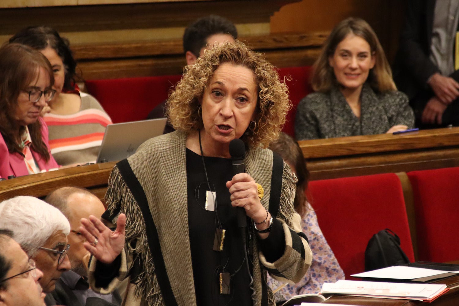 La consellera de Territori, Ester Capella, intervenint a la sessió de control al Govern / ACN