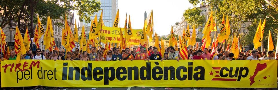 Una imagen de una manifestación convocada por la CUP/Cup