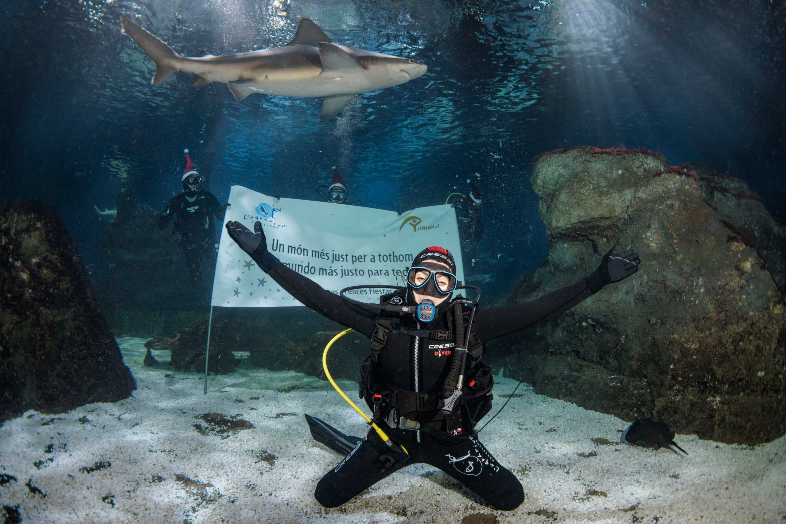 Sílvia Abril desitja un bon Nadal i un món més just per a tothom amb un bany solidari a L'Aquàrium de Barcelona / Cedida
