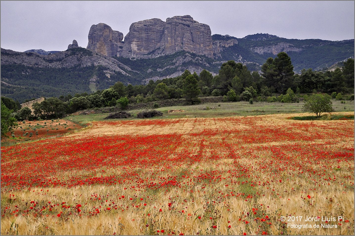 Imatge de les Roques de Benet / Twitter de Jordi Lluís Pi