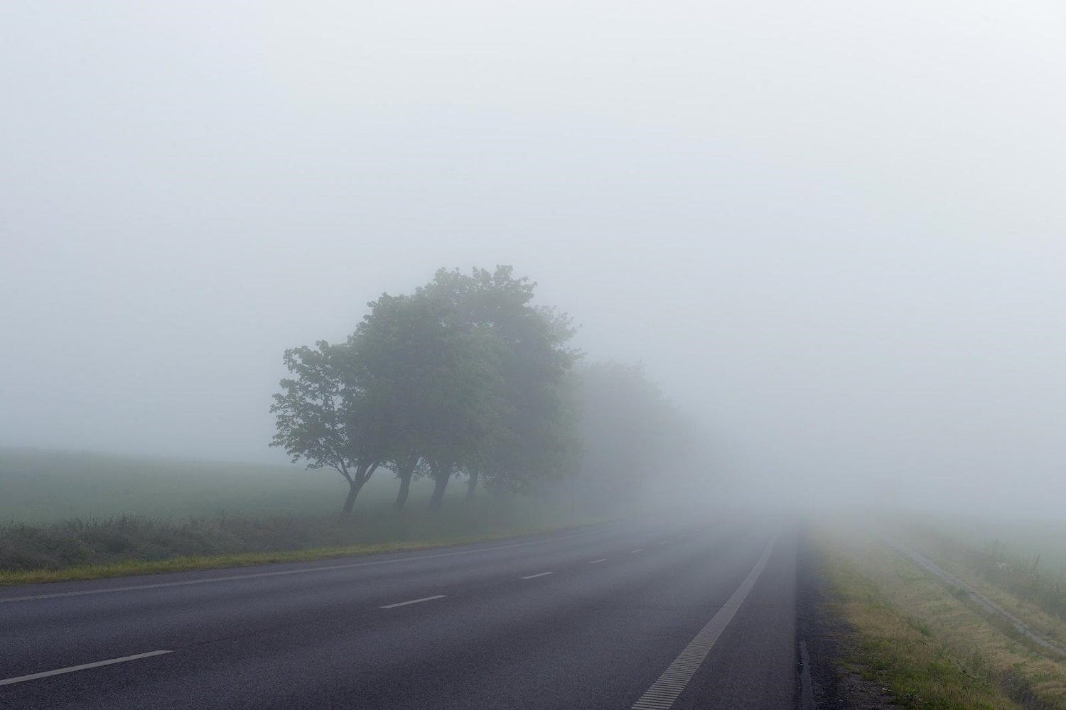 Niebla en las carreteras de Lleida / Servei Català de Trànsit
