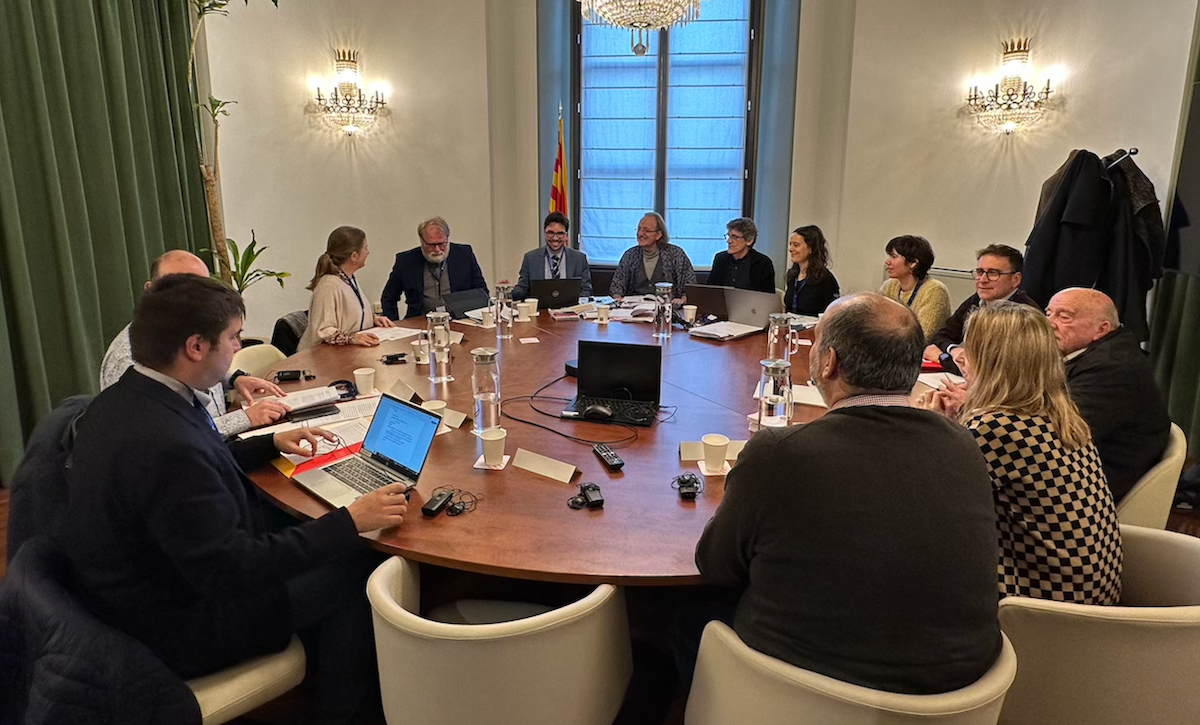 Un moment de la reunió amb el Comitè d'Experts de la Carta Europea de les Llengües Regionals o Minoritàries (CELRoM) / Josep Maria Botanch